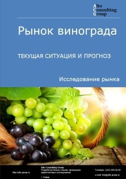 Рынок винограда в России. Текущая ситуация и прогноз 2024-2028 гг.
