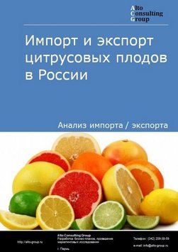 Импорт и экспорт цитрусовых плодов в России в 2023 г.