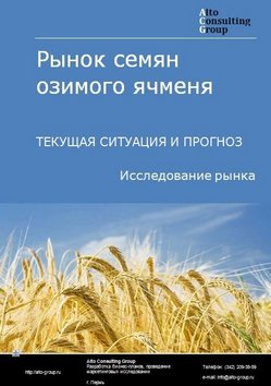 Рынок семян озимого ячменя в России. Текущая ситуация и прогноз 2024-2028 гг.