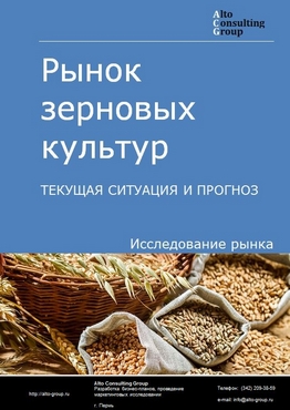 Рынок зерновых культур в России. Текущая ситуация и прогноз 2024-2028 гг.
