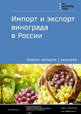 Импорт и экспорт винограда в России в 2020-2024 гг.