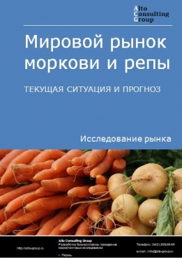 Мировой рынок моркови и репы. Текущая ситуация и прогноз 2021-2025 гг.