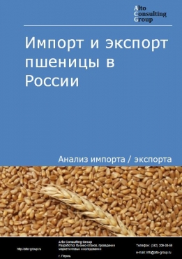 Импорт и экспорт пшеницы в России в 2020-2024 гг.