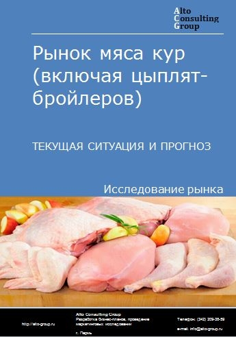 Рынок мяса кур (включая цыплят-бройлеров) в России. Текущая ситуация и прогноз 2024-2028 гг.