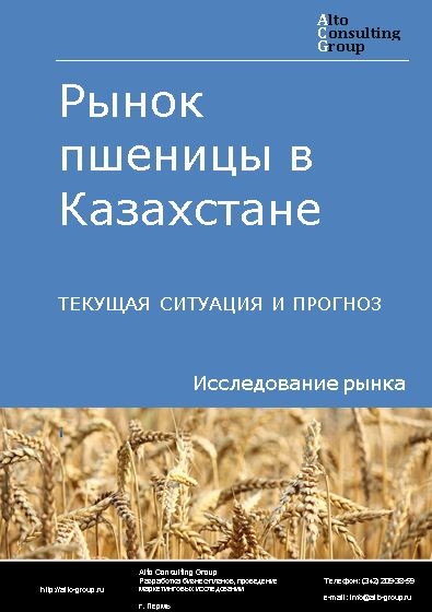 Рынок пшеницы в Казахстане. Текущая ситуация и прогноз 2024-2028 гг.