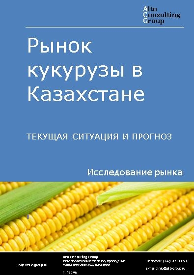 Рынок кукурузы в Казахстане. Текущая ситуация и прогноз 2024-2028 гг.