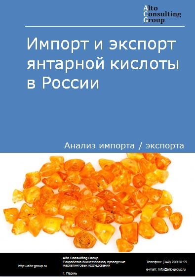 Импорт и экспорт янтарной кислоты в России в 2023 г.