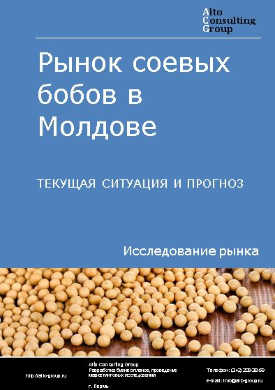 Рынок соевых бобов в Молдове. Текущая ситуация и прогноз 2024-2028 гг.