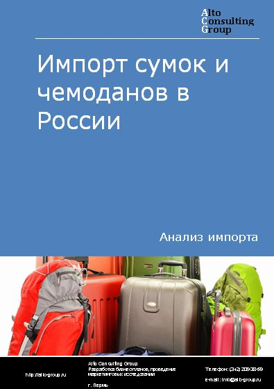 Импорт сумок и чемоданов в России в 2023 г.