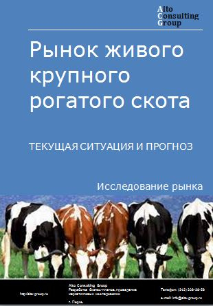 Рынок живого крупного рогатого скота в России. Текущая ситуация и прогноз 2024-2028 гг.