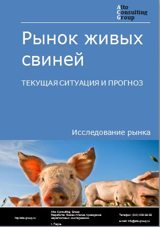 Рынок живых свиней в России. Текущая ситуация и прогноз 2024-2028 гг.