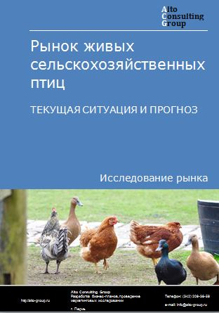 Рынок живых сельскохозяйственных птиц в России. Текущая ситуация и прогноз 2024-2028 гг.