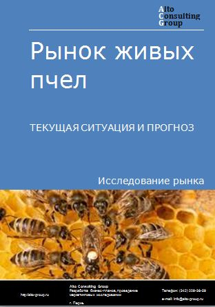 Рынок живых пчел в России. Текущая ситуация и прогноз 2024-2028 гг.