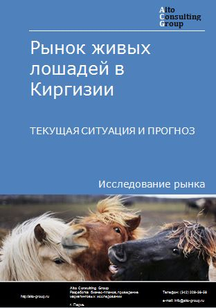Рынок живых лошадей в Киргизии. Текущая ситуация и прогноз 2024-2028 гг.