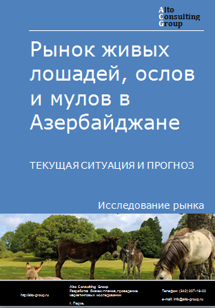 Рынок лошадей, ослов и мулов в Азербайджане. Текущая ситуация и прогноз 2024-2028 гг.
