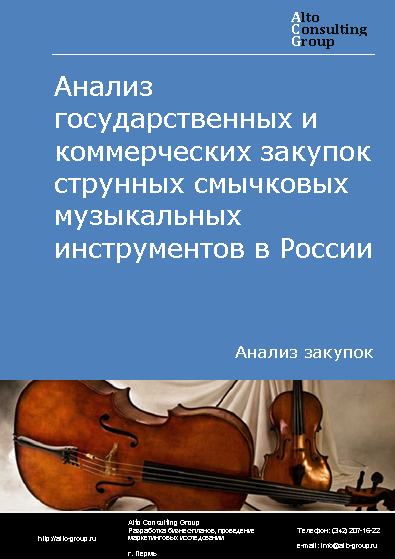 Анализ государственных и коммерческих закупок струнных смычковых музыкальных инструментов в России в 2023 г.