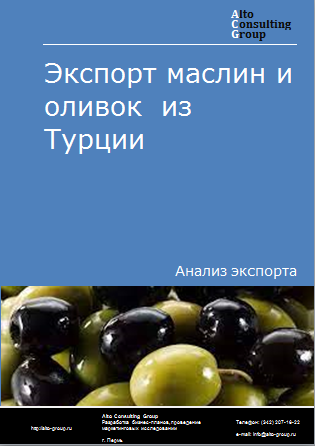 Экспорт маслин и оливок из Турции в 2019-2023 гг.