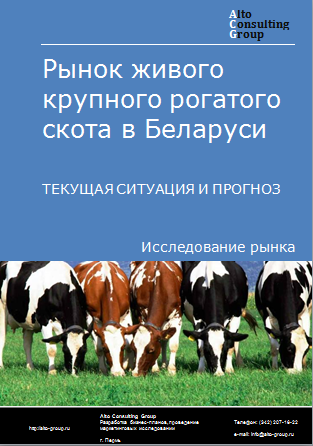 Рынок живого крупного рогатого скота в Беларуси. Текущая ситуация и прогноз 2024-2028 гг.