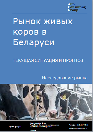 Рынок живых коров в Беларуси. Текущая ситуация и прогноз 2024-2028 гг.