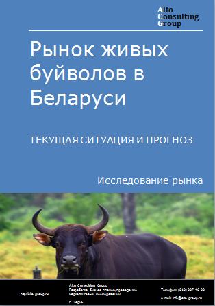 Рынок живых буйволов в Беларуси. Текущая ситуация и прогноз 2024-2028 гг.