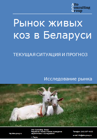 Рынок живых коз в Беларуси. Текущая ситуация и прогноз 2024-2028 гг.