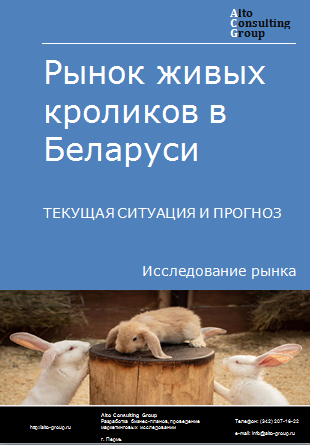 Рынок живых кроликов в Беларуси. Текущая ситуация и прогноз 2024-2028 гг.