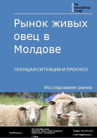 Рынок живых овец в Молдове. Текущая ситуация и прогноз 2024-2028 гг.