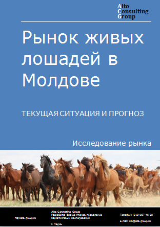 Рынок живых лошадей в Молдове. Текущая ситуация и прогноз 2024-2028 гг.