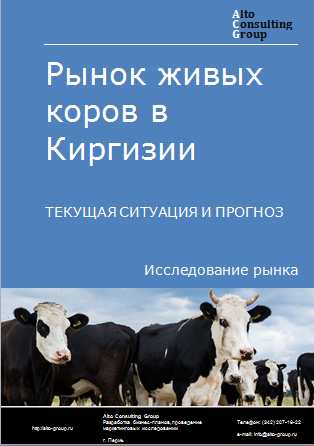 Рынок живых коров в Киргизии. Текущая ситуация и прогноз 2024-2028 гг.