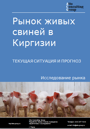 Рынок живых свиней в Киргизии. Текущая ситуация и прогноз 2024-2028 гг.