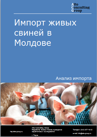 Импорт живых свиней в Молдову в 2019-2023 гг.