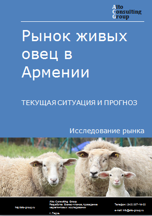 Рынок живых овец  в Армении. Текущая ситуация и прогноз 2024-2028 гг.