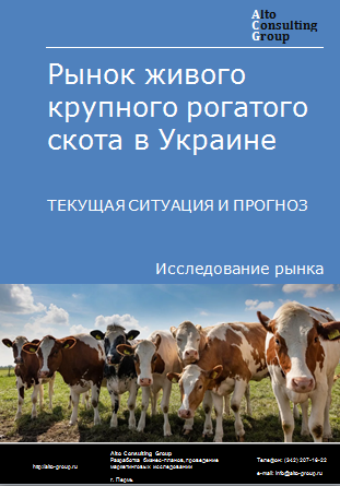 Рынок живого крупного рогатого скота в Украине. Текущая ситуация и прогноз 2024-2028 гг.