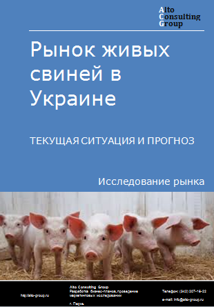 Рынок живых свиней в Украине. Текущая ситуация и прогноз 2024-2028 гг.
