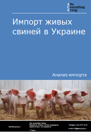Импорт живых свиней в Украину в 2019-2023 гг.