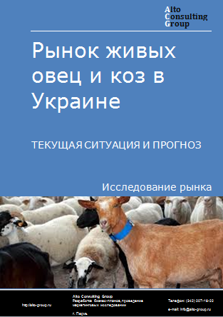 Рынок живых овец и коз в Украине. Текущая ситуация и прогноз 2024-2028 гг.