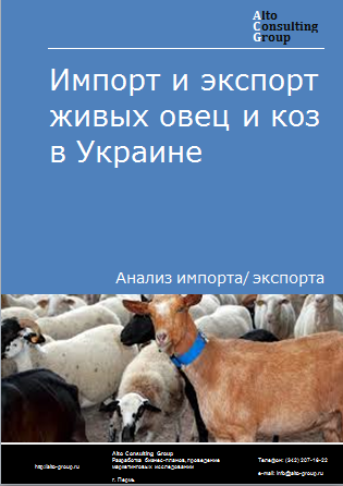 Импорт и экспорт живых свиней в Украине в 2019-2023 гг.