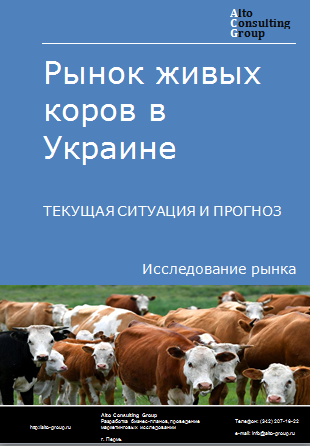 Рынок живых коров в Украине. Текущая ситуация и прогноз 2024-2028 гг.