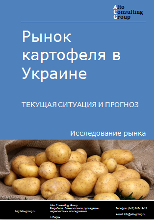 Рынок картофеля в Украине. Текущая ситуация и прогноз 2024-2028 гг.