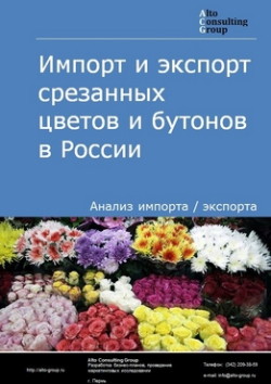 Обложка исследования: Анализ импорта и экспорта срезанных цветов и бутонов в России в 2020-2024 гг.