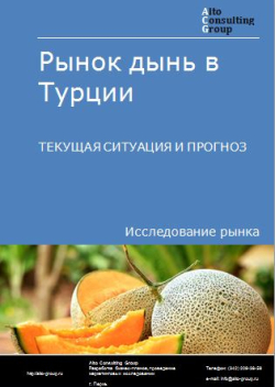 Рынок дынь в Турции. Текущая ситуация и прогноз 2024-2028 гг.