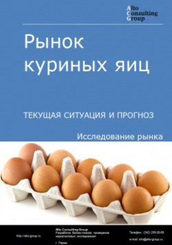 Рынок куриных яиц в России. Текущая ситуация и прогноз 2020-2024 гг.