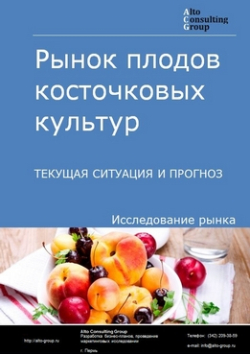 Рынок плодов косточковых культур (слива, вишня, черешня, абрикос, персик) в России. Текущая ситуация и прогноз 2024-2028 гг.