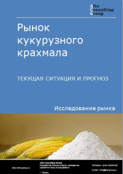 Рынок кукурузного крахмала в России. Текущая ситуация и прогноз 2021-2025 гг.
