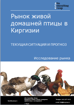 Рынок живой домашней птицы в Киргизии. Текущая ситуация и прогноз 2024-2028 гг.