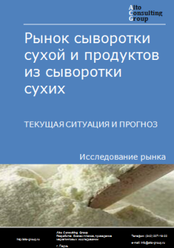 Обложка Анализ рынка сыворотки сухой и продуктов из сыворотки сухих в РФ. Текущая ситуация и прогноз 2024-2028 гг.