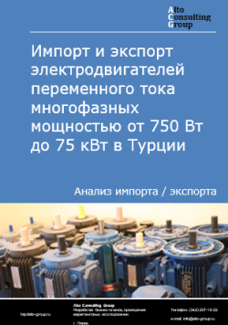 Обложка Анализ импорта и экспорта электродвигателей переменного тока многофазных мощностью от 750 Вт до 75 кВт в Турции в 2020-2024 гг.