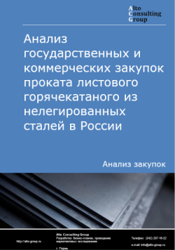 Анализ государственных и коммерческих закупок проката листового горячекатаного из нелегированных сталей в России в 2024 г.