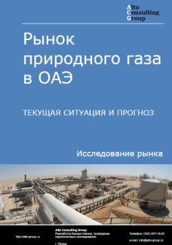 Обложка исследования: Анализ рынка природного газа в ОАЭ. Текущая ситуация и прогноз 2024-2028 гг.