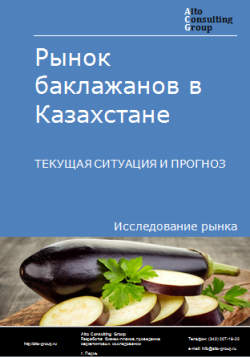 Анализ рынка баклажанов в Казахстане. Текущая ситуация и прогноз 2024-2028 гг.